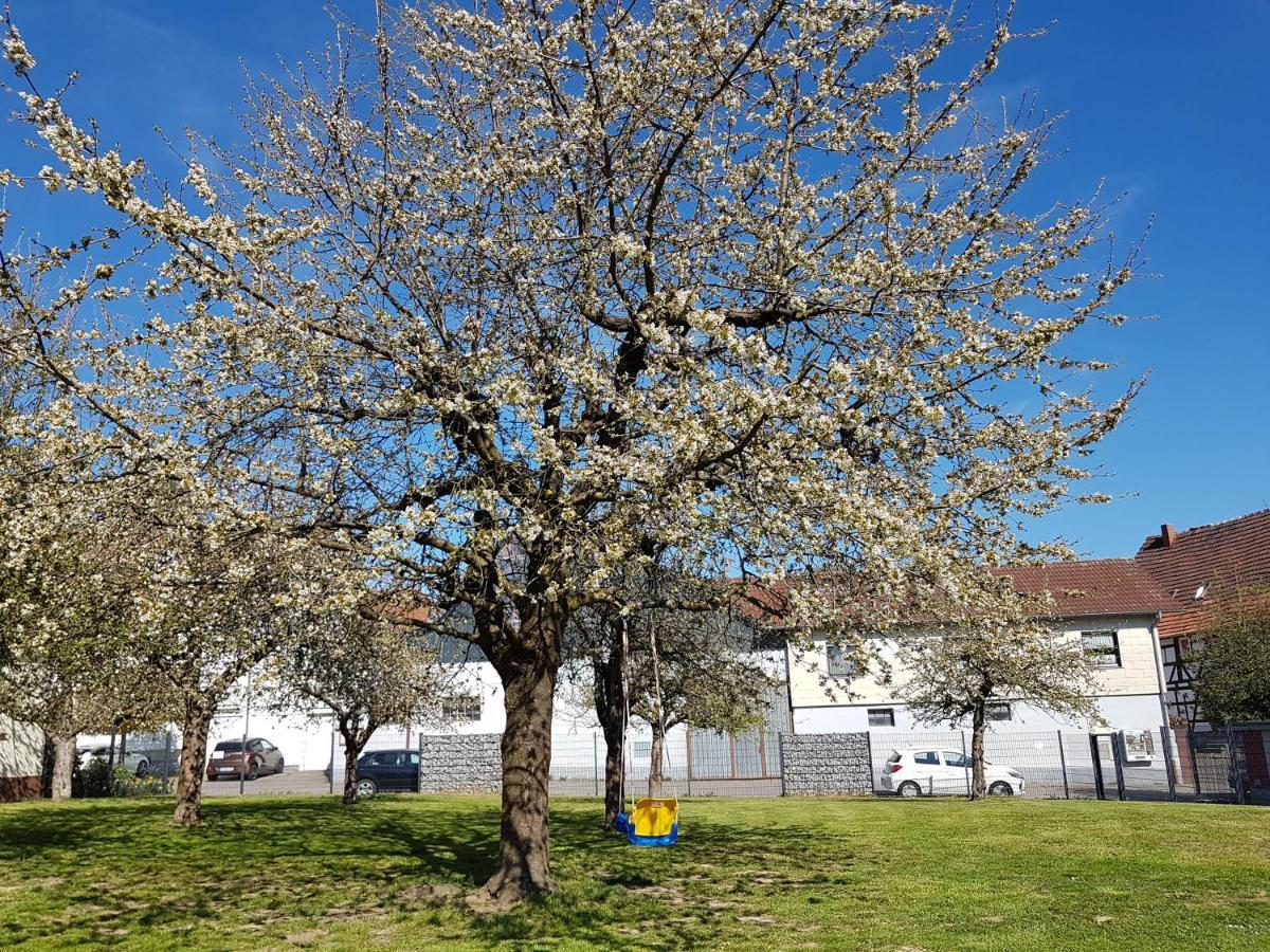 Ferienwohnung/Monteurwohnung Im Schoenen Odenwald Moerlenbach Exterior photo